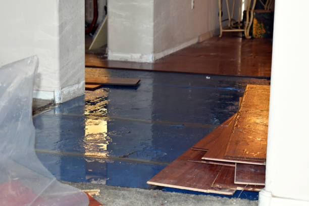 Professional Water Damage Restoration technician working in Three Lakes, WA